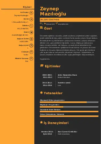 Felsefe Öğretmeni CV Örnekleri cv indir